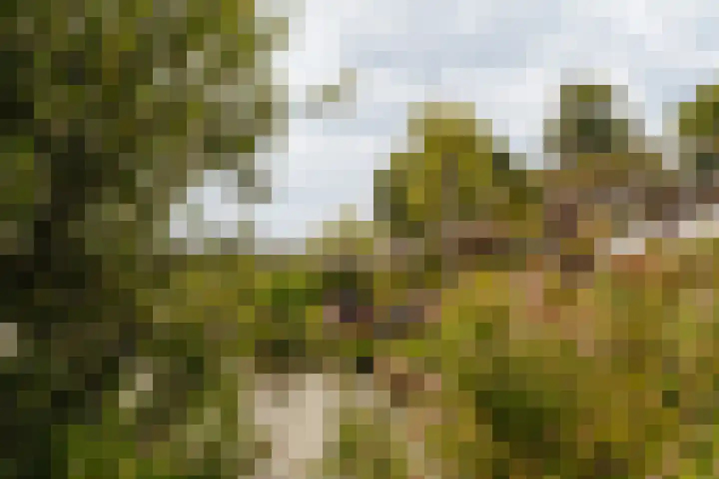 Liduinalaan 9 Noordwijkerhout thumbnail 62