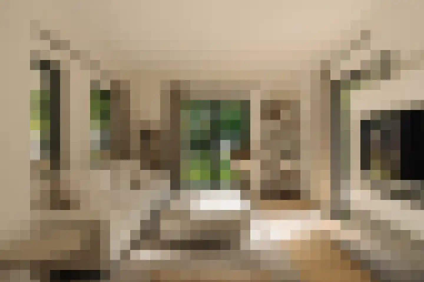Liduinalaan 9 Noordwijkerhout thumbnail 7