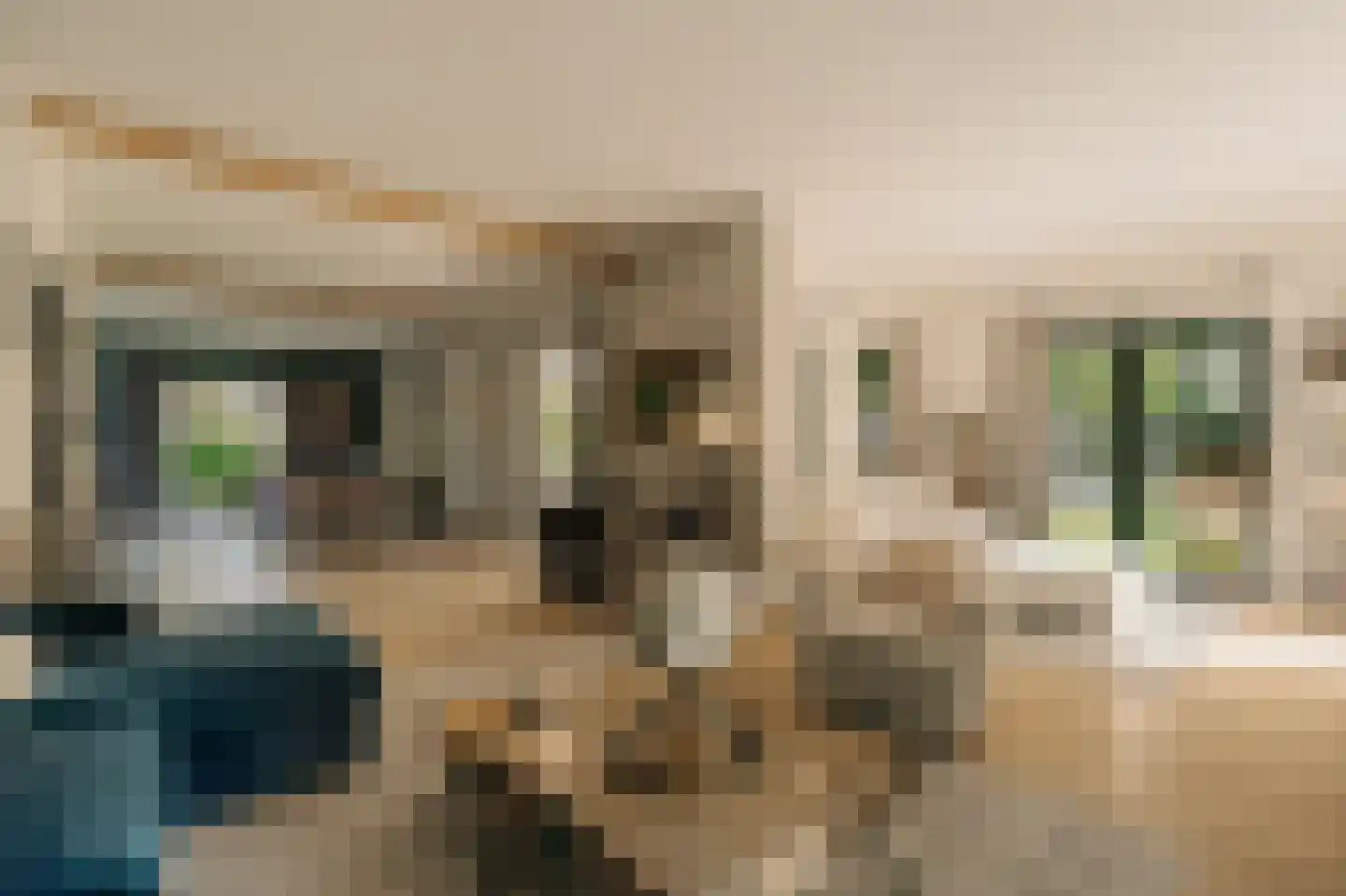 Liduinalaan 9 Noordwijkerhout thumbnail 8