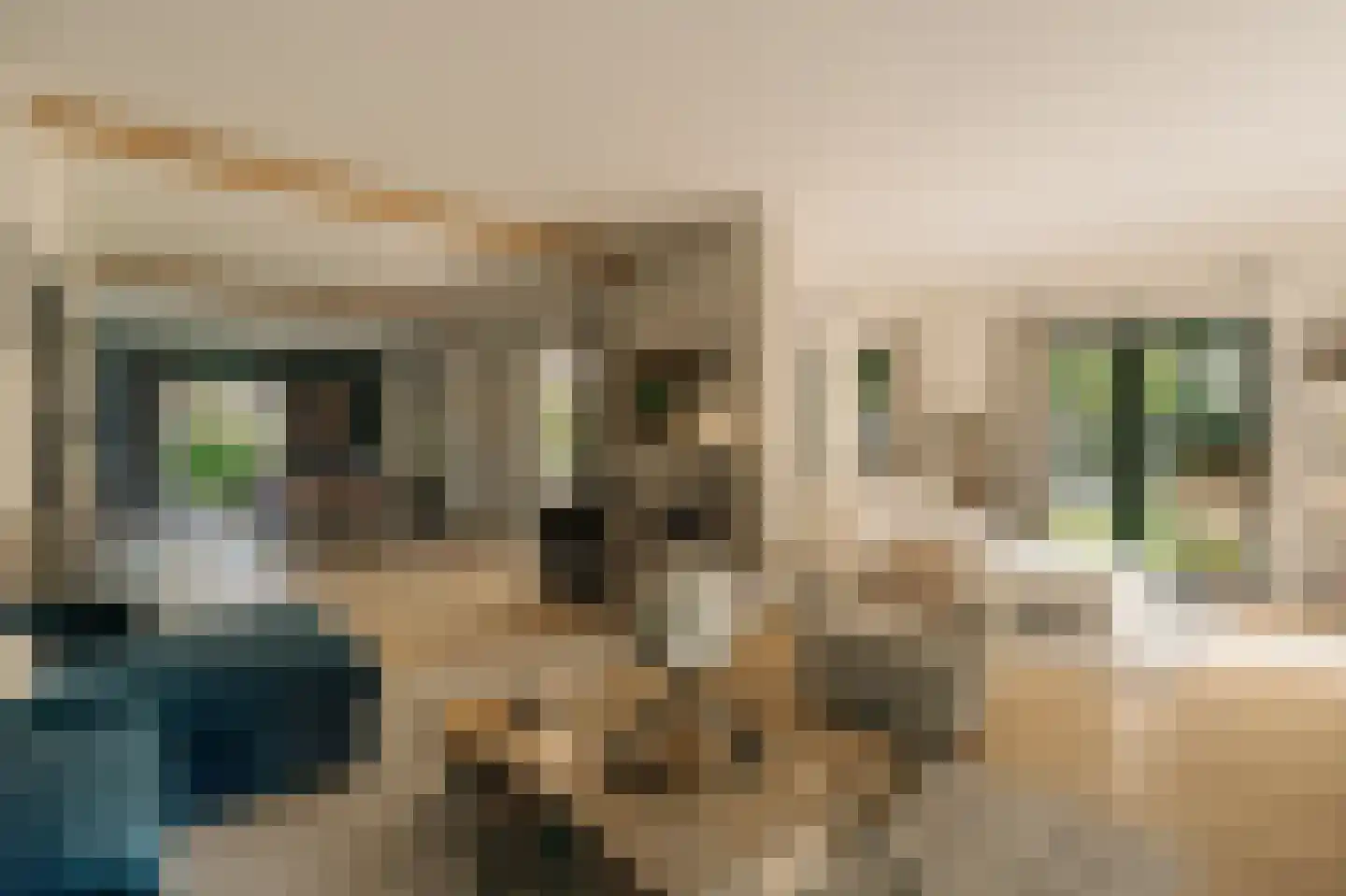 Liduinalaan 9 Noordwijkerhout thumbnail 8