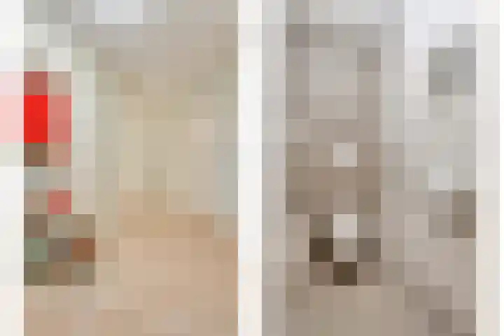 Liduinapark 120 Hulst thumbnail 10