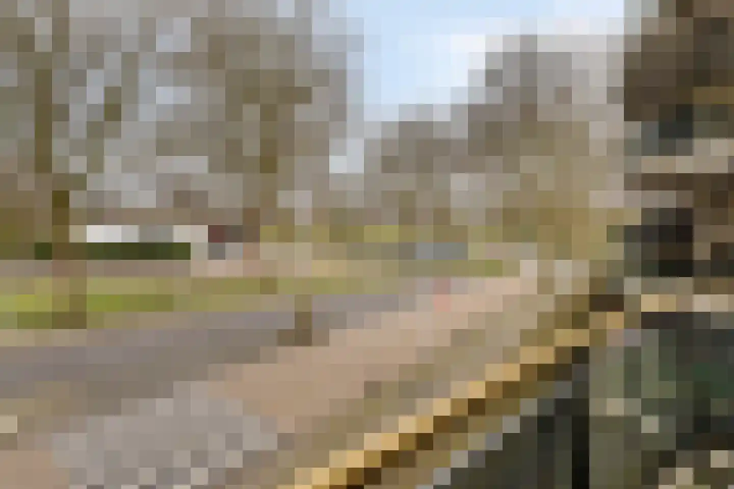 Liduinapark 120 Hulst thumbnail 17
