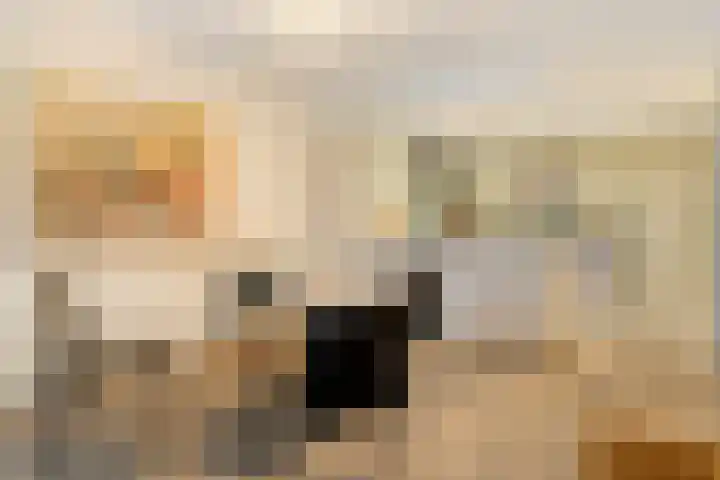 Liduinapark 120 Hulst thumbnail 19