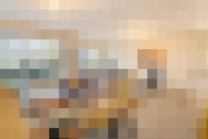 Liduinapark 120 Hulst foto 2