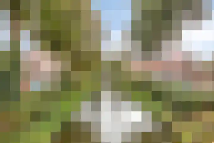 Liduinapark 120 Hulst thumbnail 33