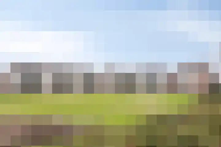 Liduinapark 120 Hulst thumbnail 36
