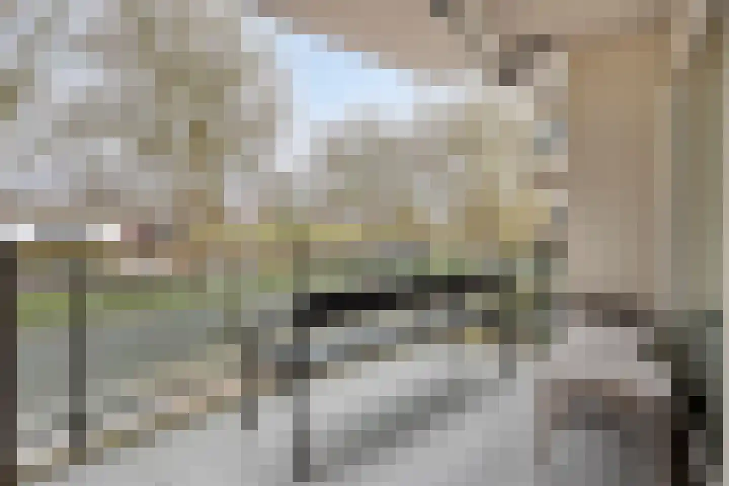 Liduinapark 120 Hulst thumbnail 5