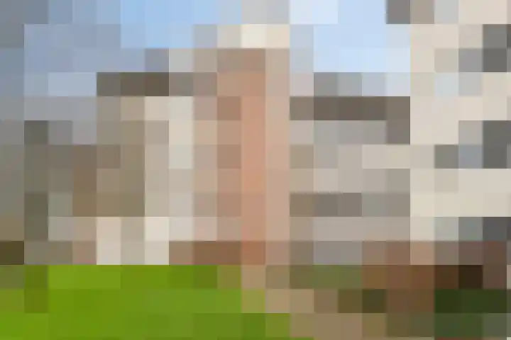 Liduinapark 120 Hulst thumbnail 7