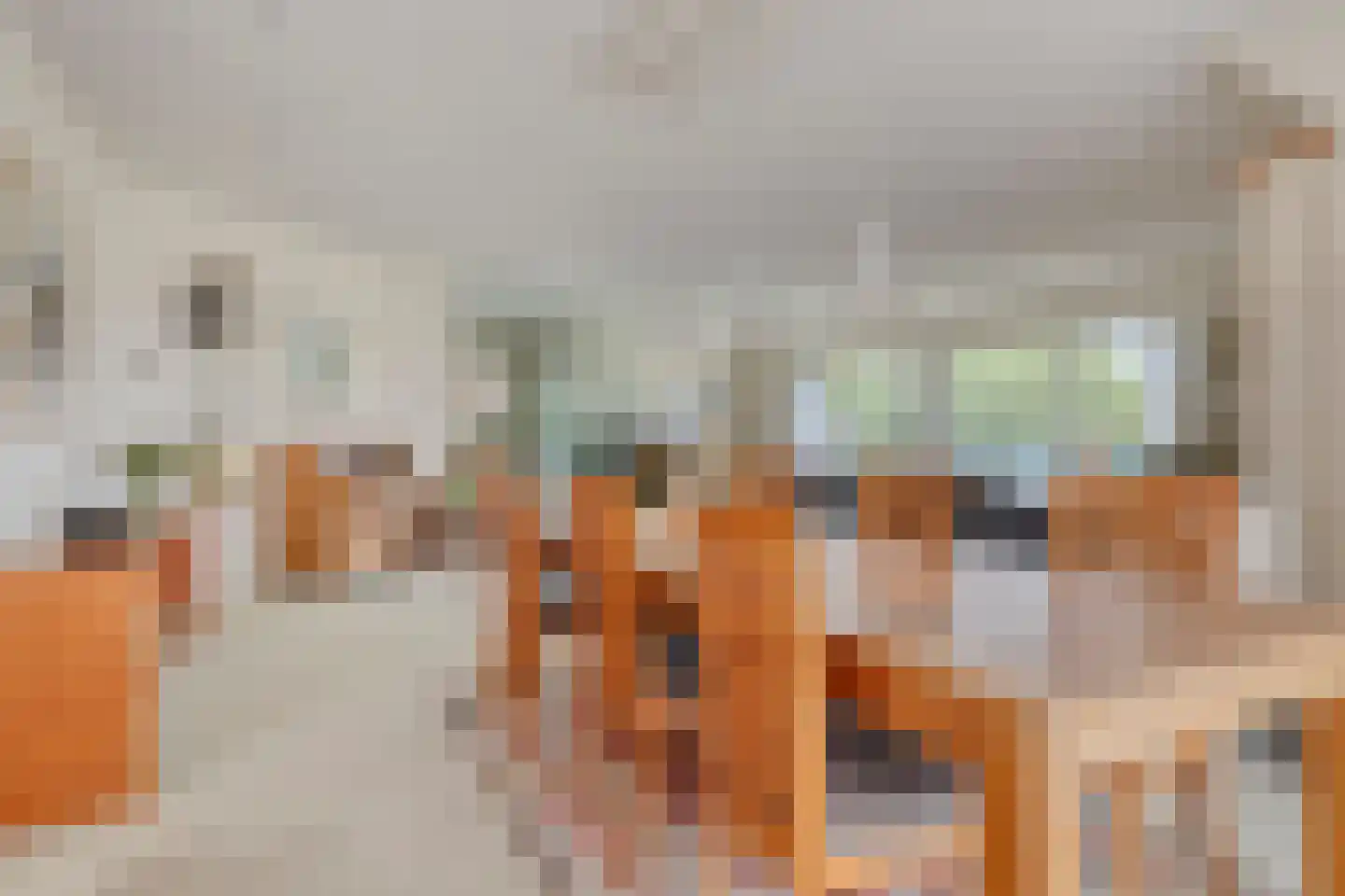 Liduinapark 14 Hulst thumbnail 18