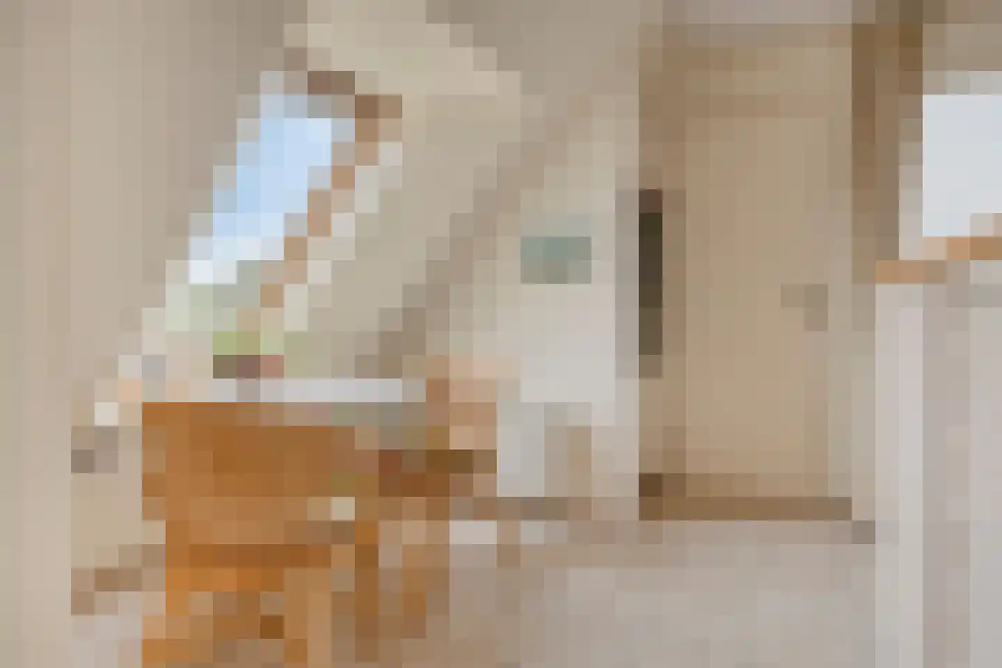 Liduinapark 14 Hulst thumbnail 19