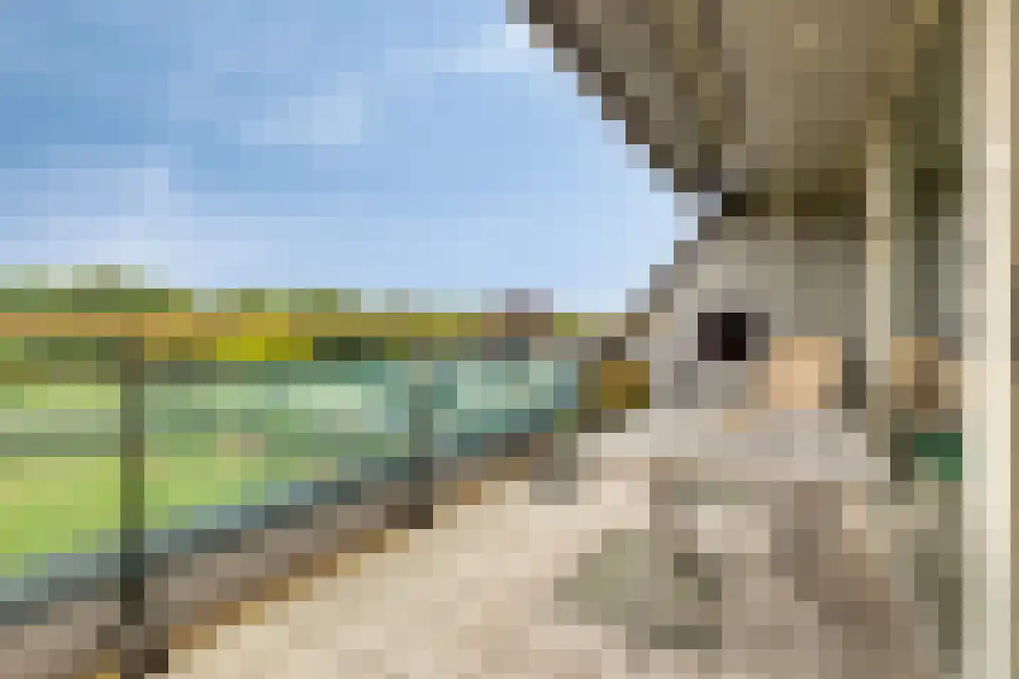 Liduinapark 14 Hulst thumbnail 34
