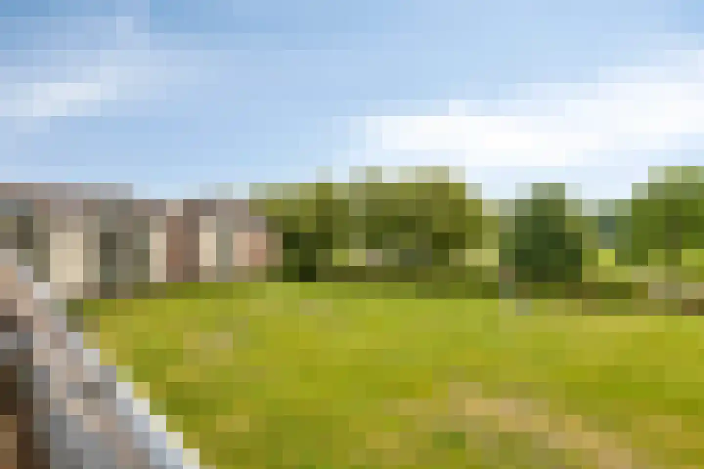 Liduinapark 14 Hulst thumbnail 37