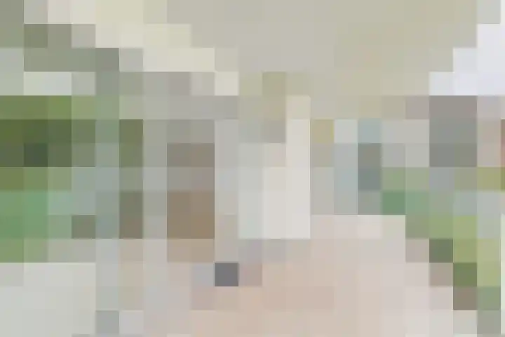 Liduinapark 16 Hulst thumbnail 21
