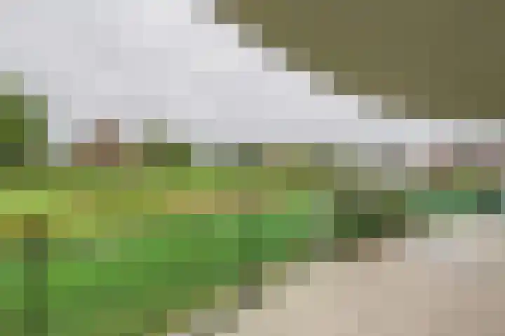 Liduinapark 16 Hulst thumbnail 22
