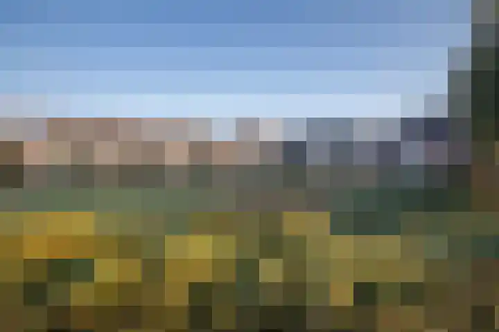 Liduinapark 16 Hulst thumbnail 23