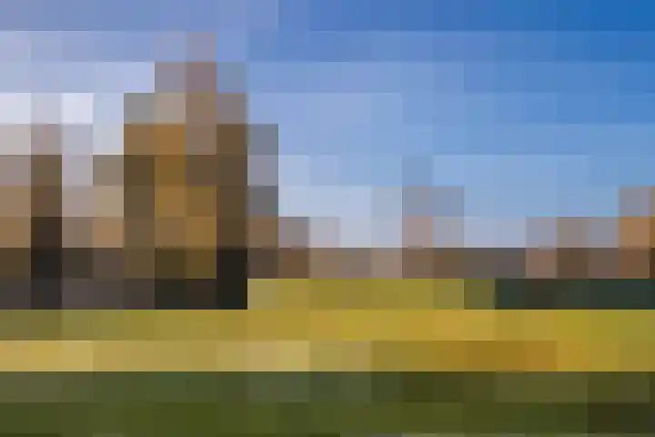 Liduinapark 16 Hulst thumbnail 24