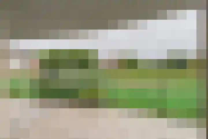 Liduinapark 16 Hulst thumbnail 4