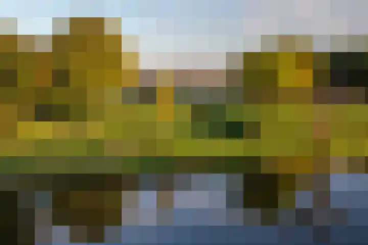 Liduinapark 16 Hulst thumbnail 5
