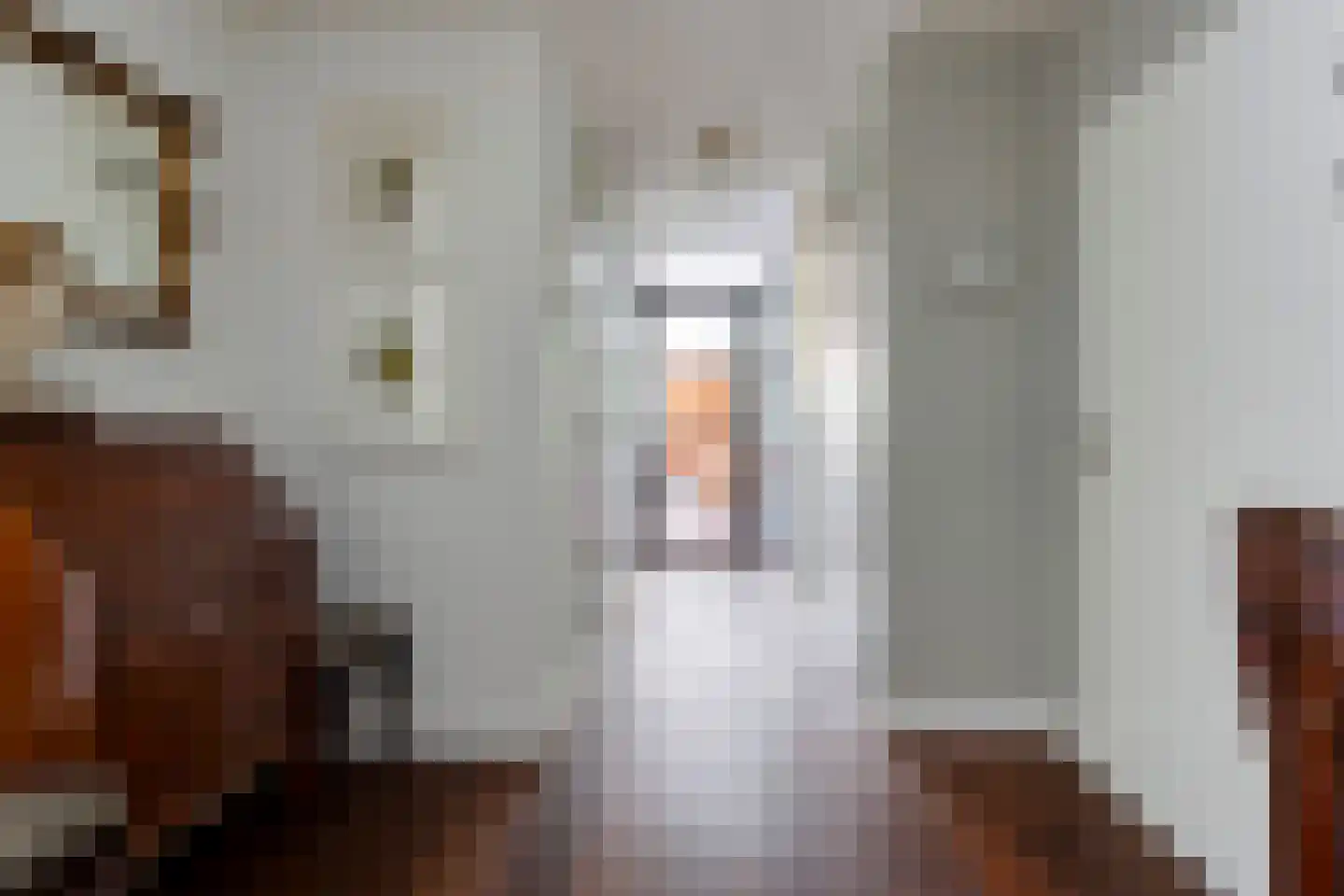 Liduinatuin 27 Purmerend thumbnail 13