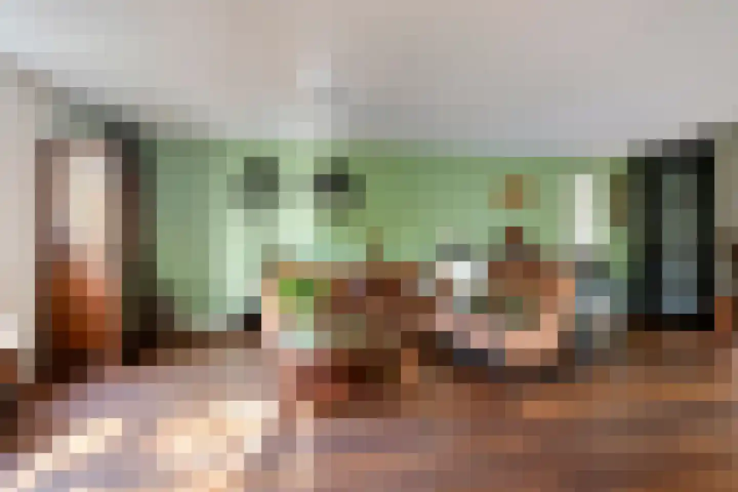 Liduinatuin 27 Purmerend thumbnail 18
