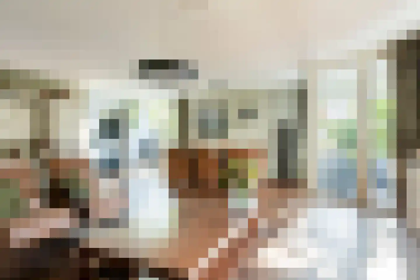 Liduinatuin 27 Purmerend thumbnail 19