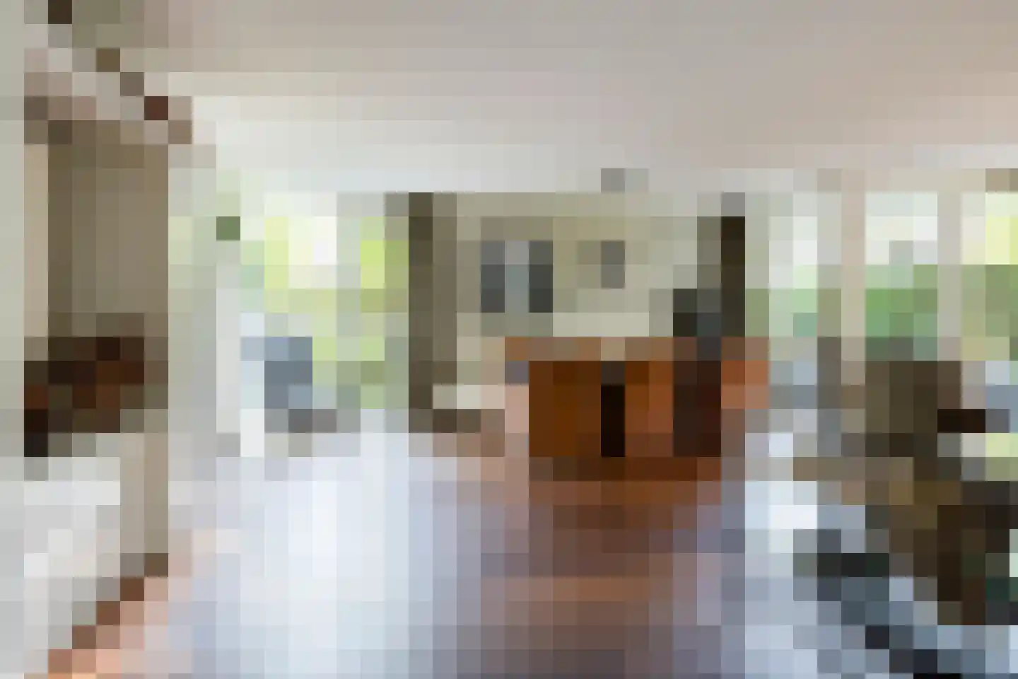Liduinatuin 27 Purmerend thumbnail 21