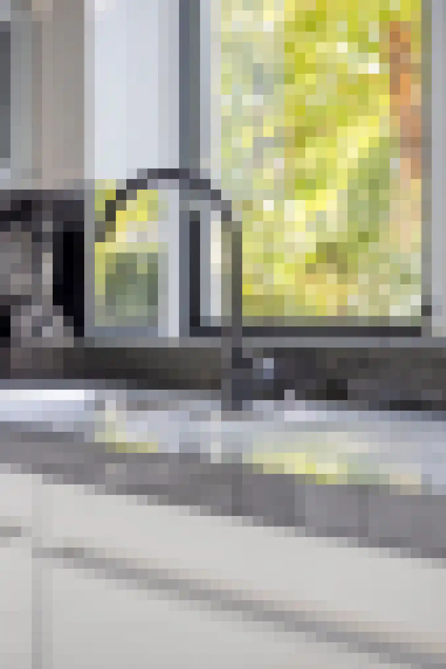 Liduinatuin 27 Purmerend thumbnail 24