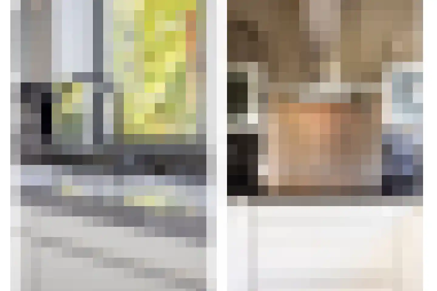Liduinatuin 27 Purmerend thumbnail 26