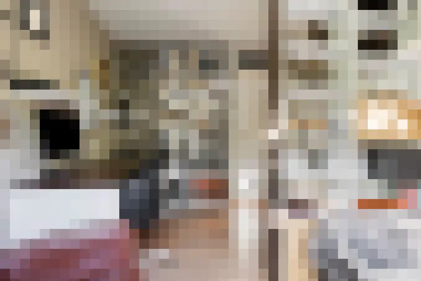 Liduinatuin 27 Purmerend thumbnail 34