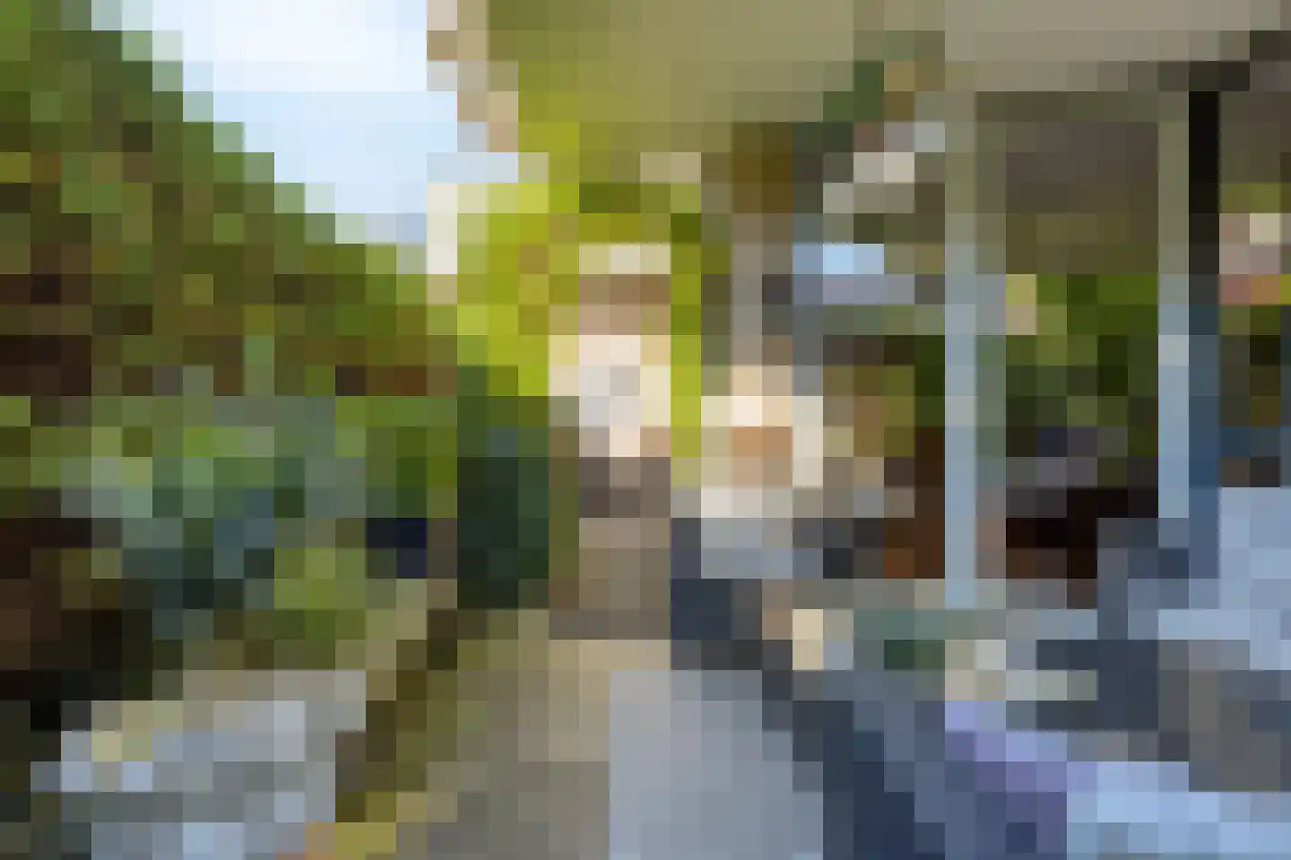 Liduinatuin 27 Purmerend thumbnail 36
