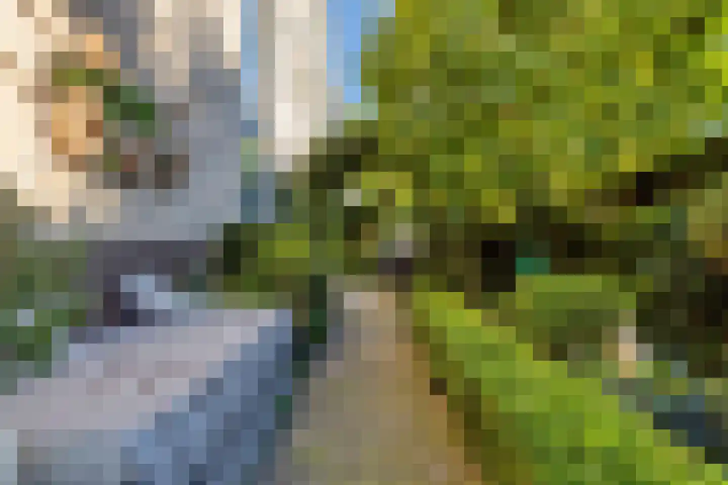 Liduinatuin 27 Purmerend thumbnail 37