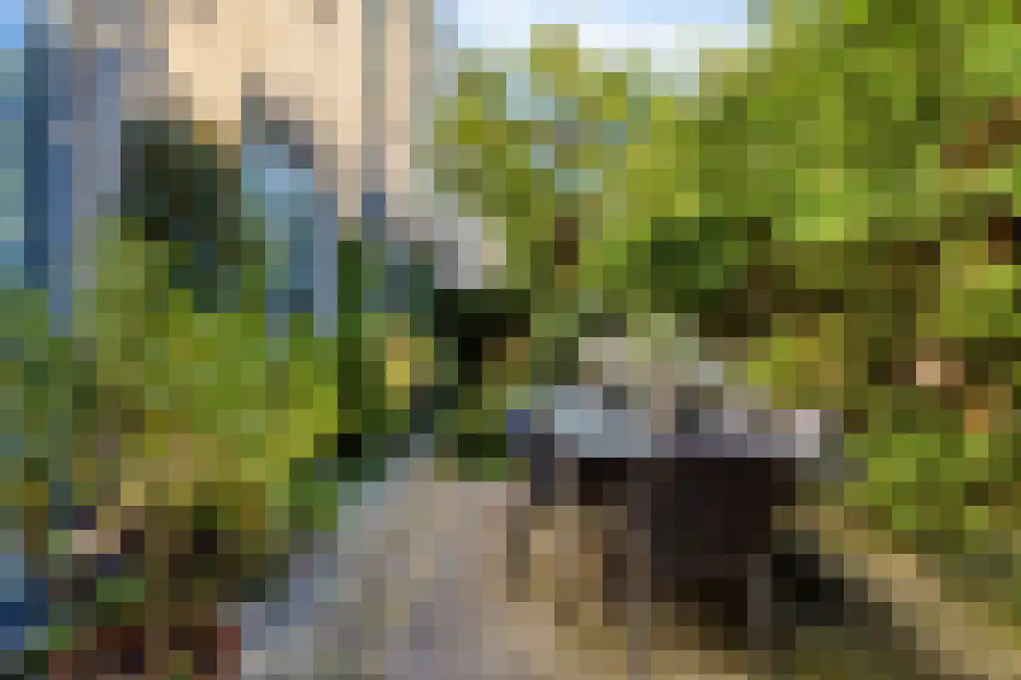 Liduinatuin 27 Purmerend thumbnail 38