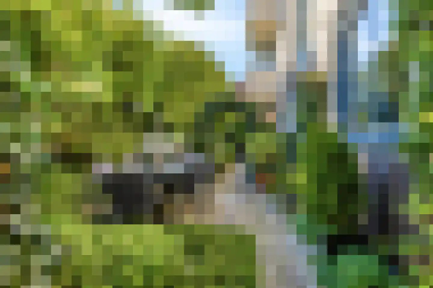 Liduinatuin 27 Purmerend thumbnail 39