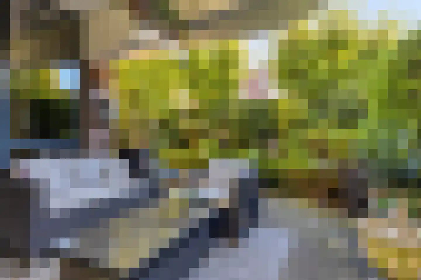 Liduinatuin 27 Purmerend thumbnail 4