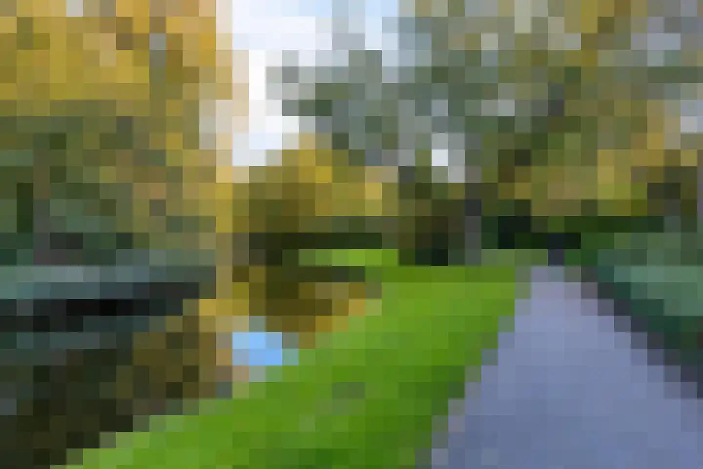 Liduinatuin 27 Purmerend thumbnail 46