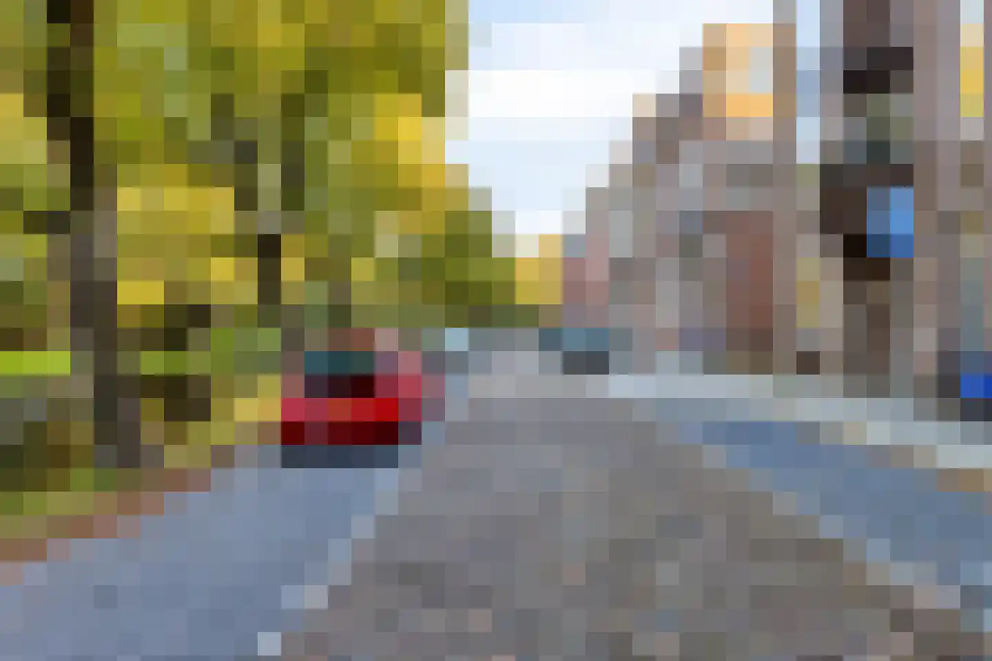 Liduinatuin 27 Purmerend thumbnail 48