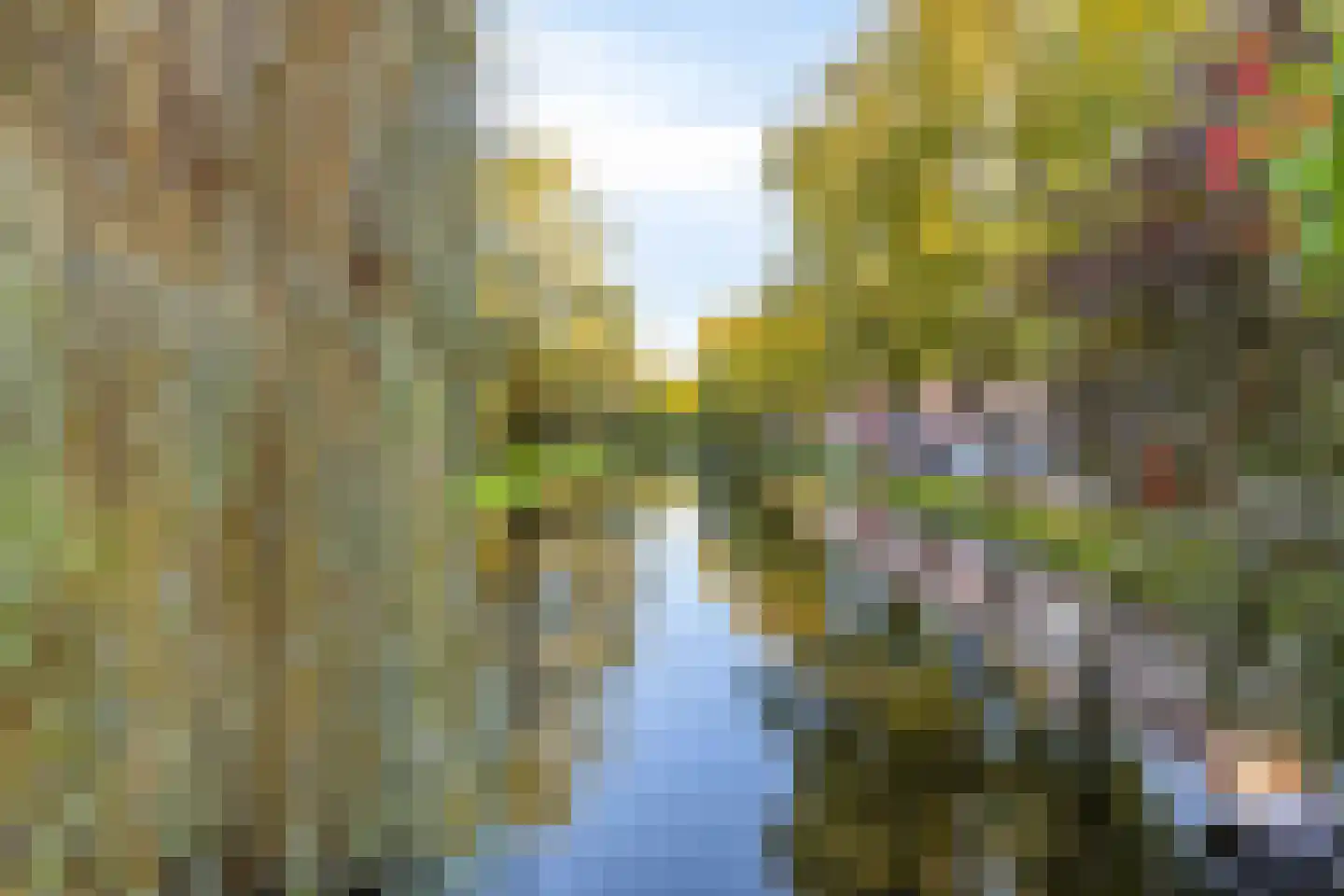 Liduinatuin 27 Purmerend thumbnail 49