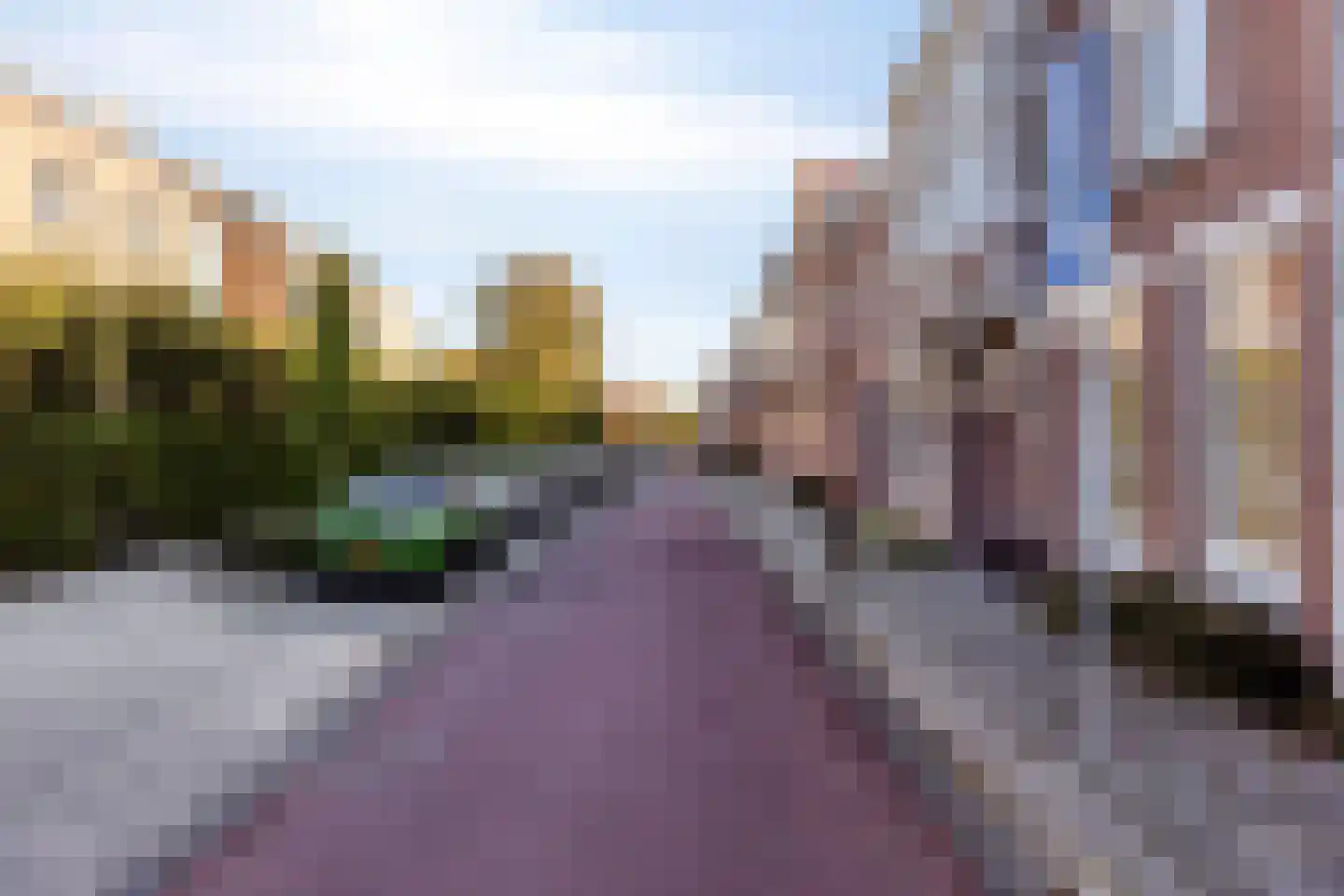 Liduinatuin 27 Purmerend thumbnail 50