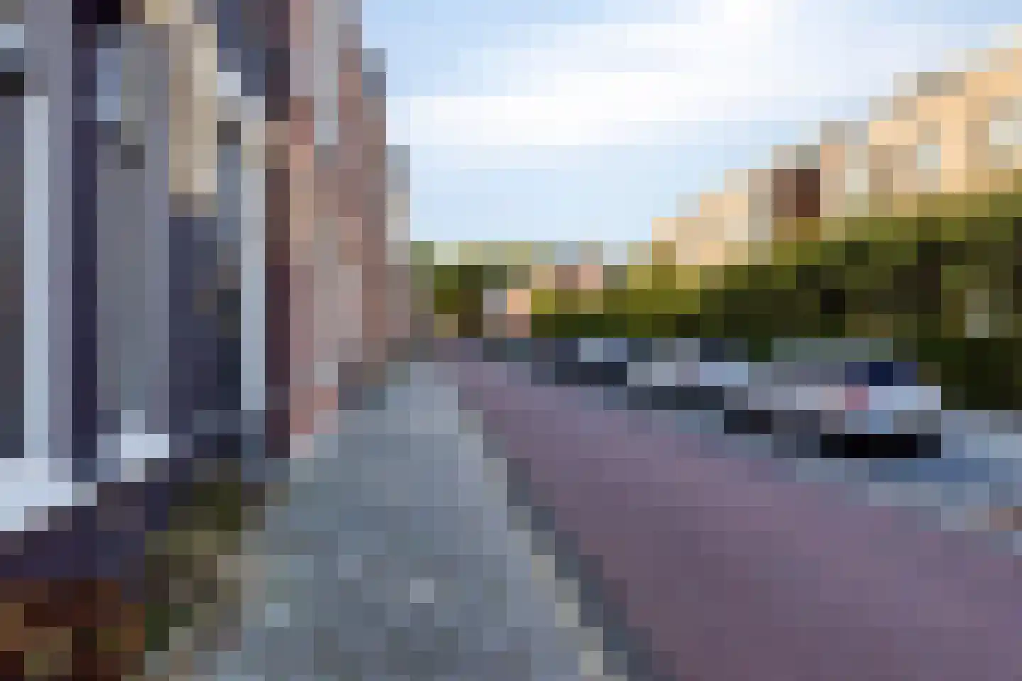 Liduinatuin 27 Purmerend thumbnail 51