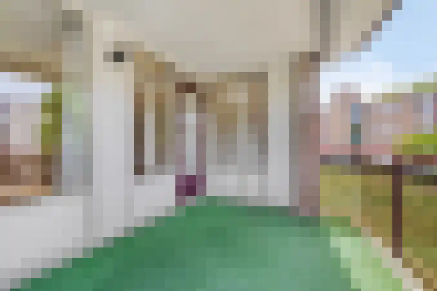 Lidwinahof 10 Best thumbnail 23