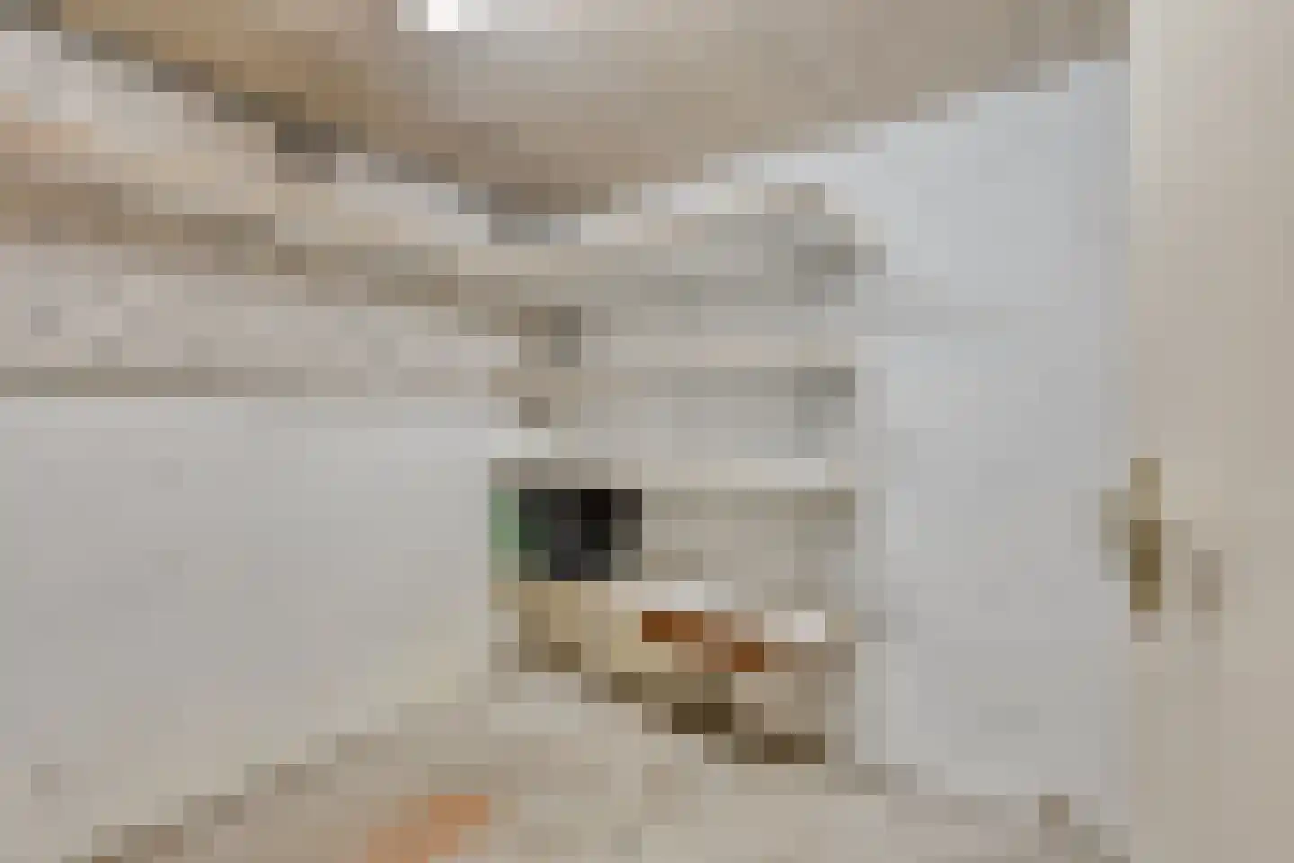 Lidwinahof 10 Best thumbnail 33
