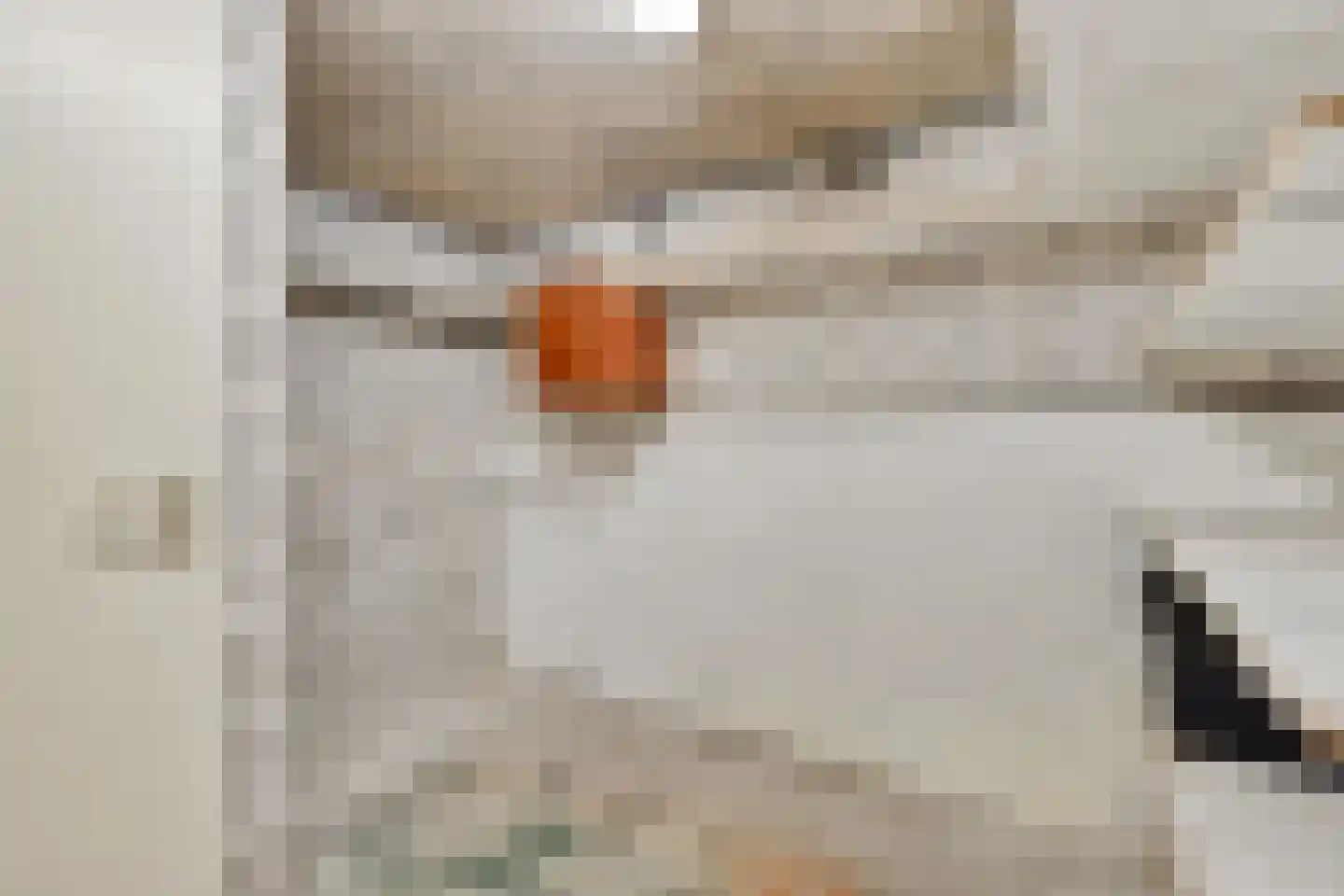 Lidwinahof 10 Best thumbnail 34