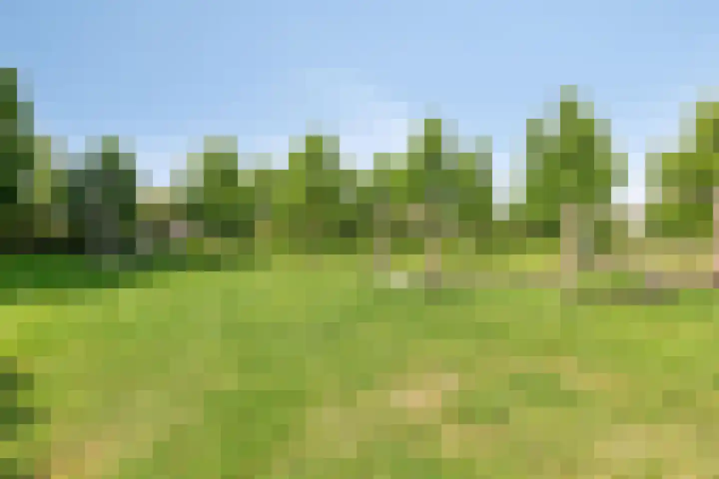 Lidwinahof 10 Best thumbnail 43
