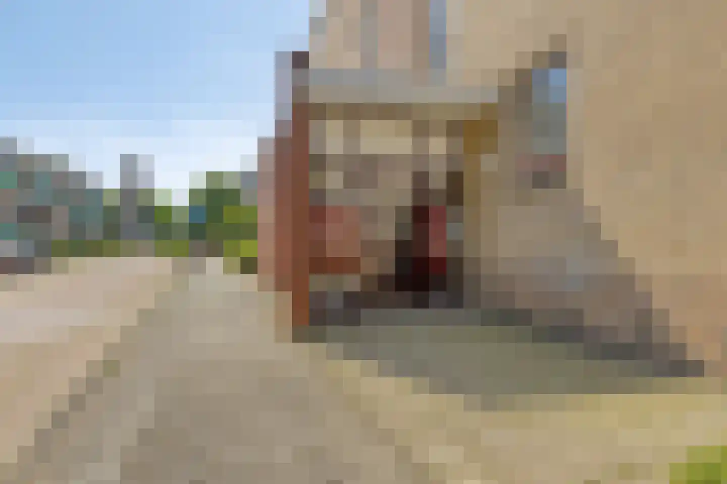 Lidwinahof 10 Best thumbnail 5