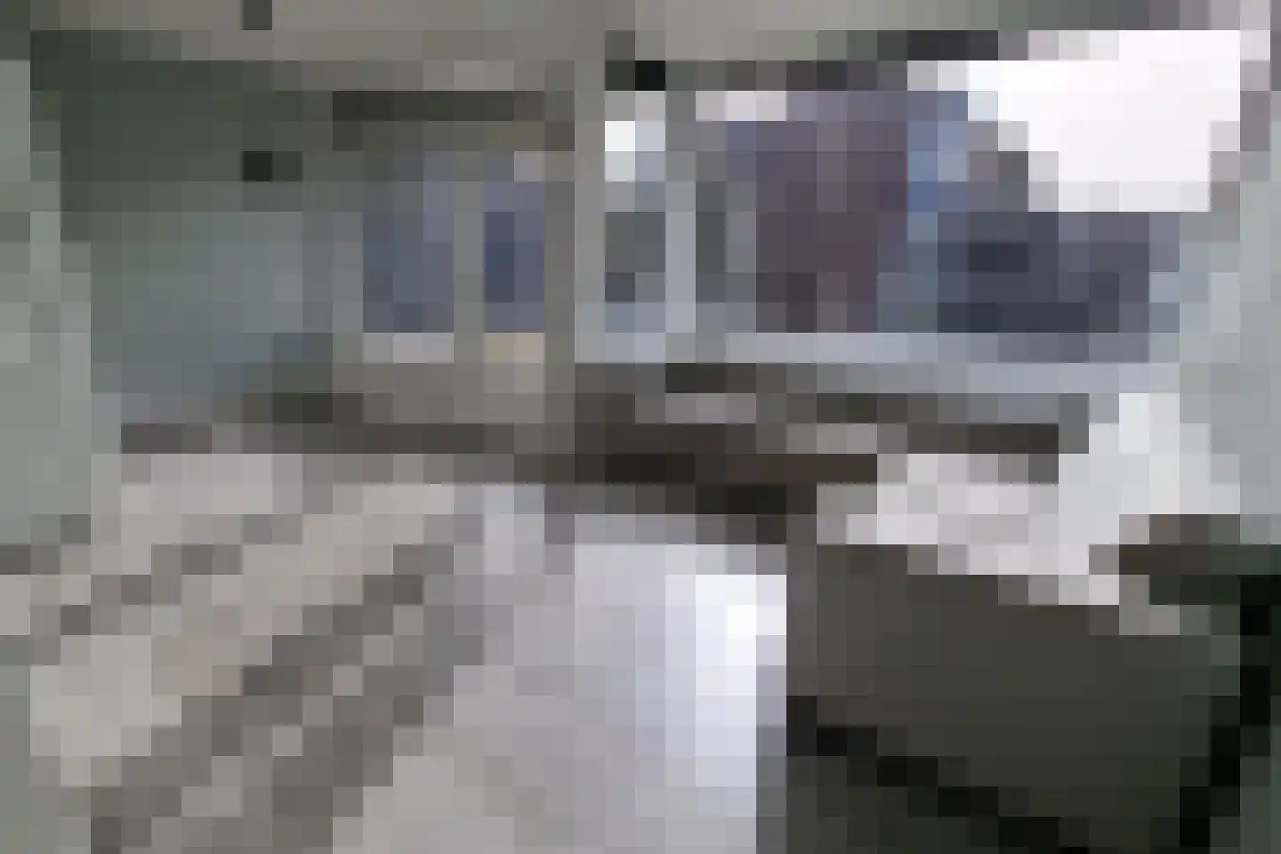 Lidwinahof 101 Best thumbnail 14
