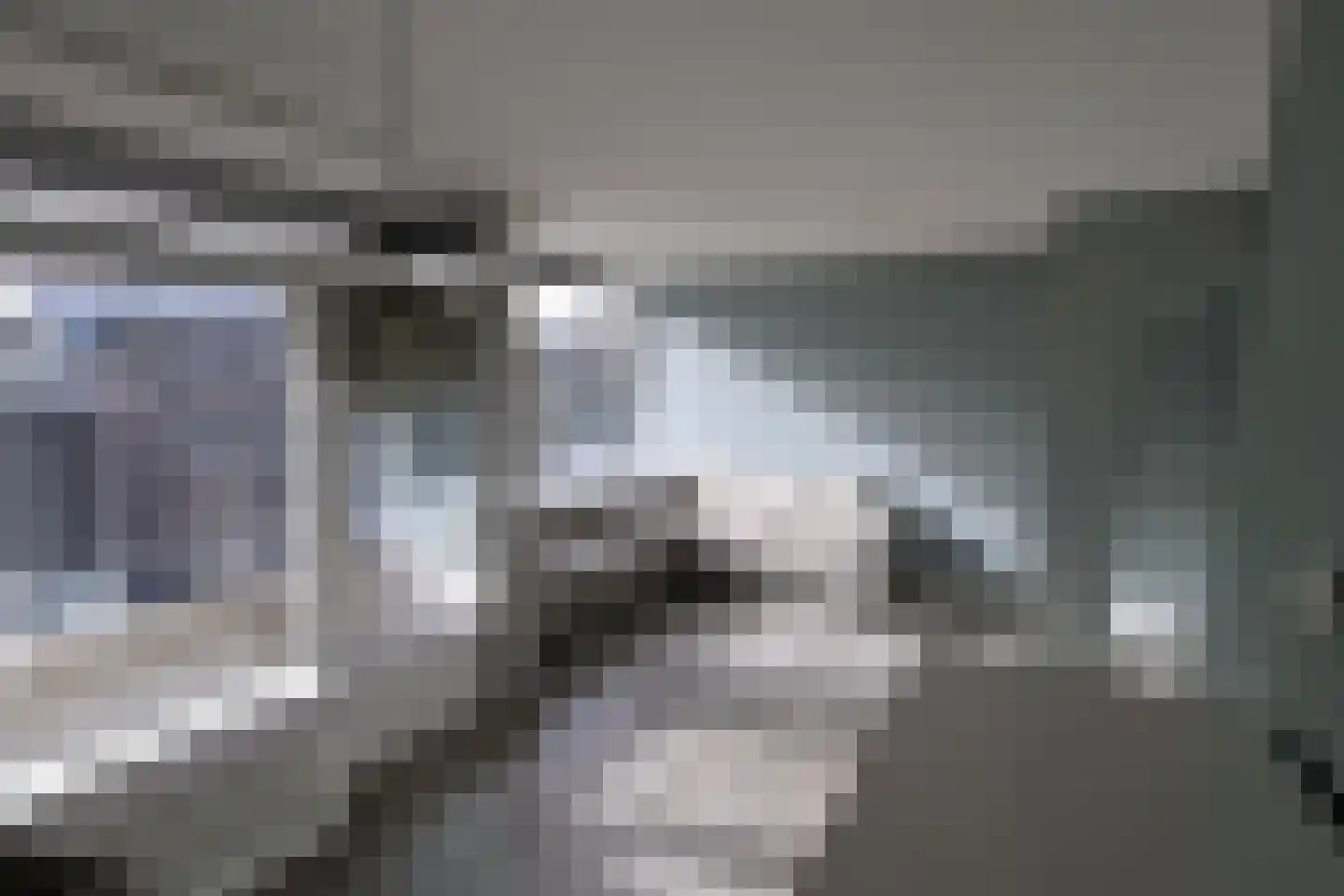 Lidwinahof 101 Best thumbnail 15
