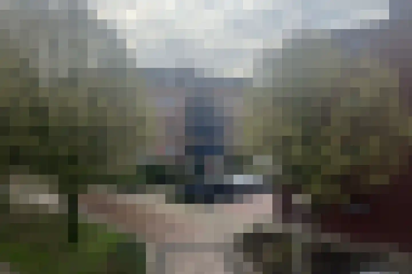 Lidwinahof 101 Best thumbnail 17