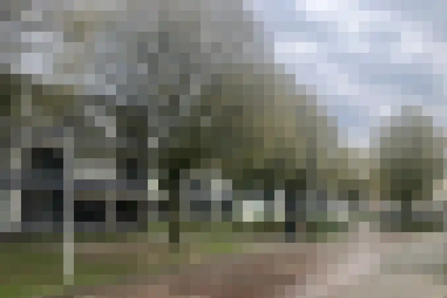 Lidwinahof 101 Best thumbnail 23