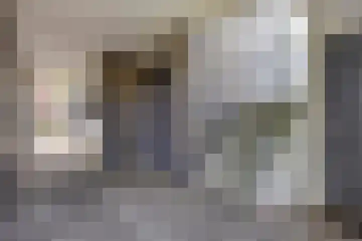 Lidwinahof 101 Best thumbnail 7