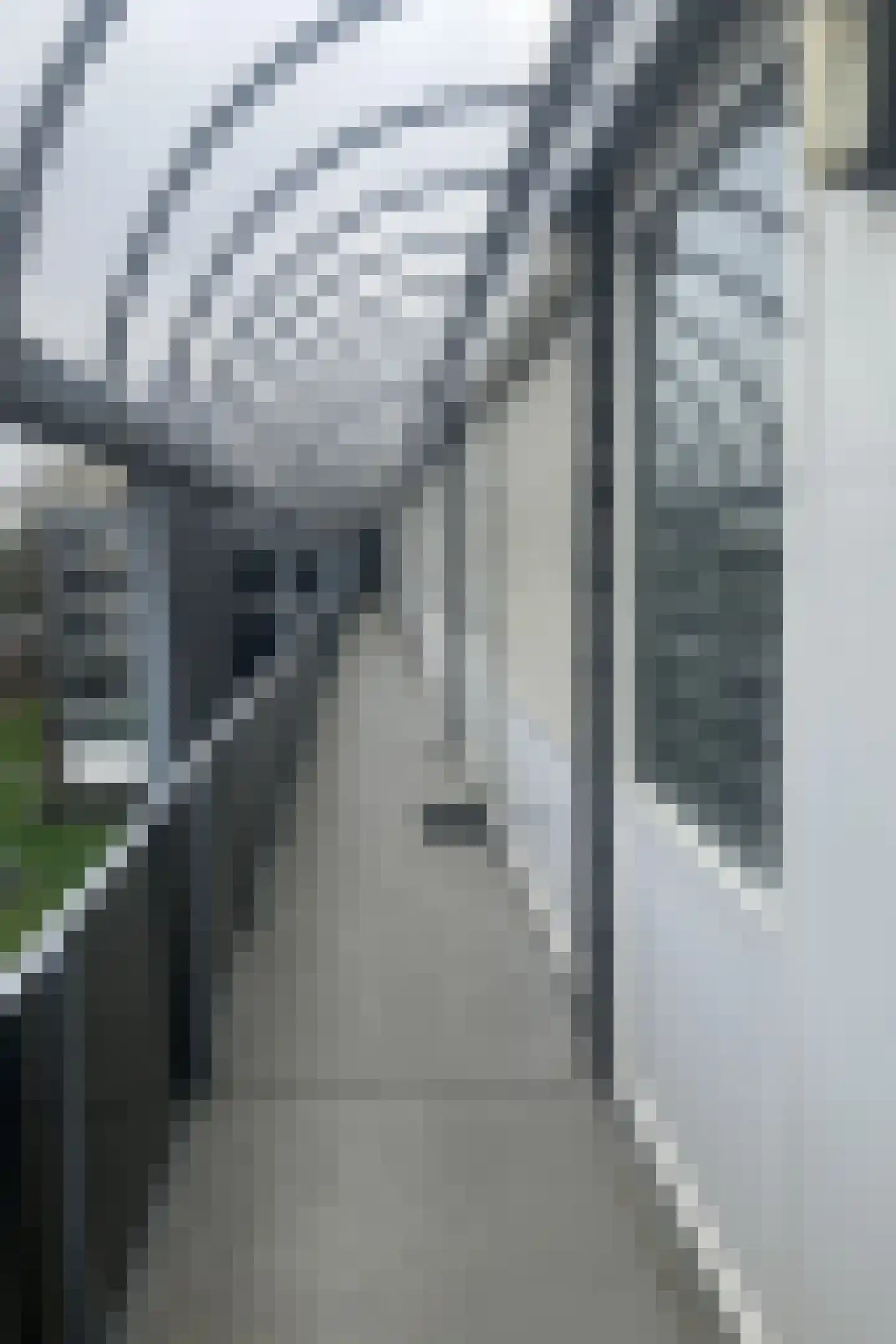 Lidwinahof 101 Best thumbnail 9
